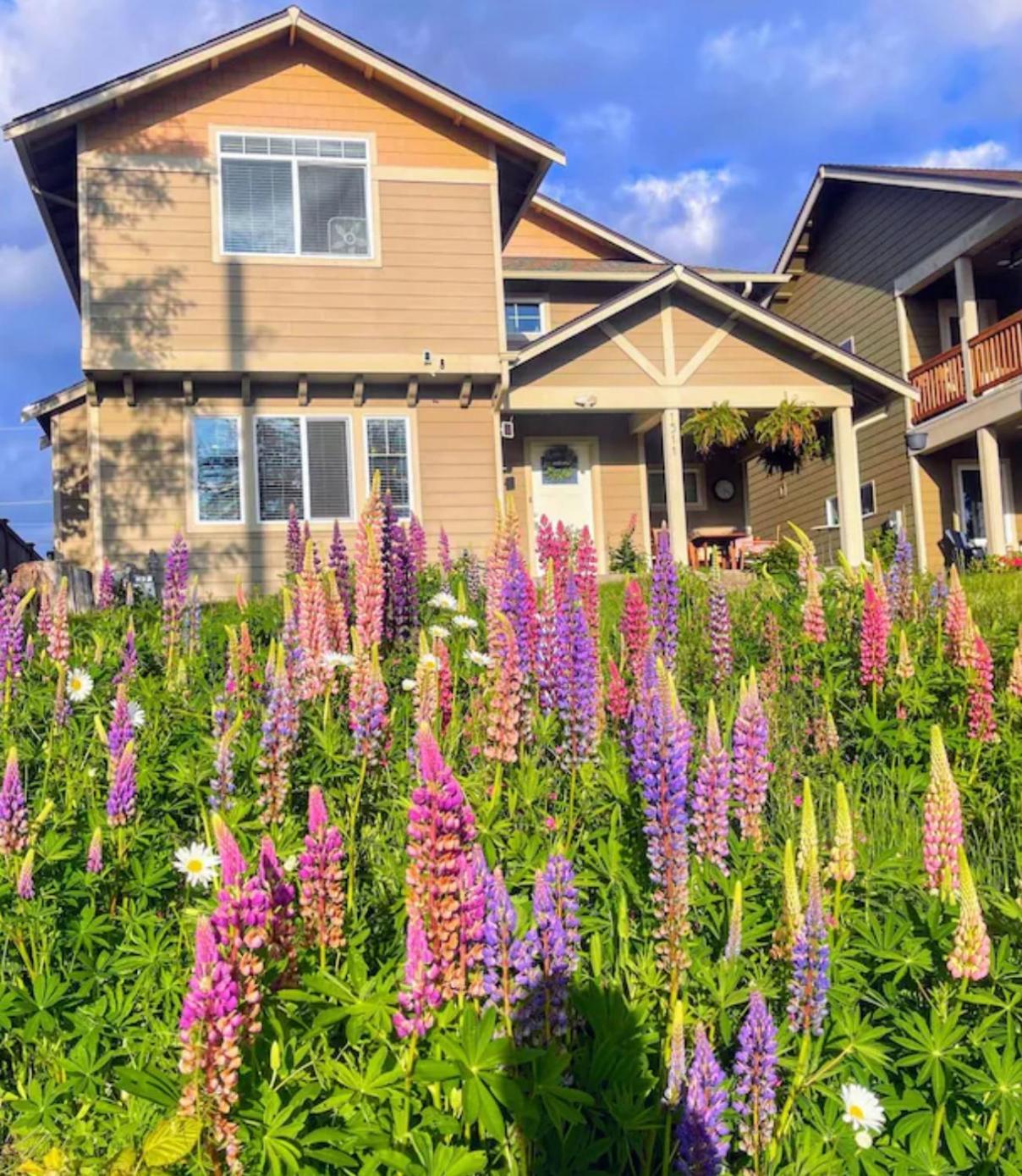 Central Tacoma Homestay With Breakfast Included -Private Room- Exteriér fotografie