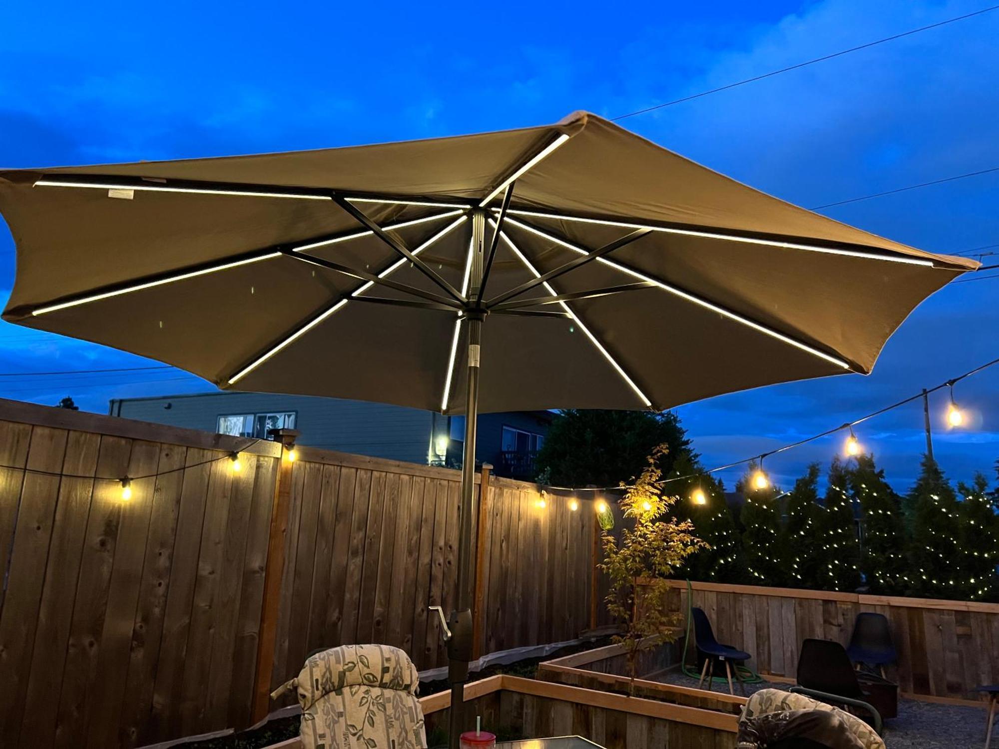 Central Tacoma Homestay With Breakfast Included -Private Room- Exteriér fotografie